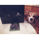 Illustration for article titled Look At These Dogs And Cats Confused By Xbox One